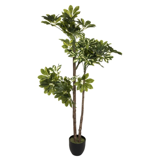 Atmosphera umjetna biljka u tegli Schefflera, 130 cm