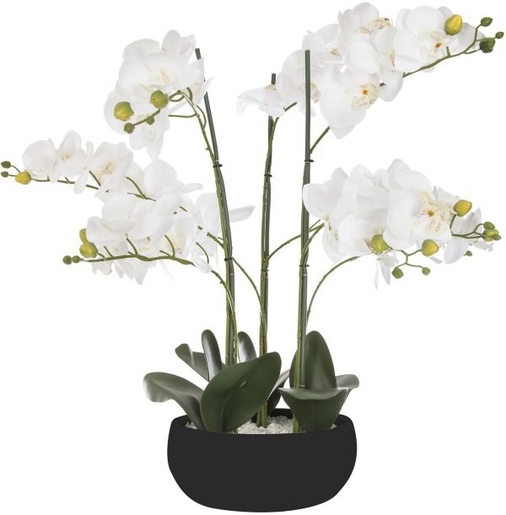 Atmosphera umjetno cvijeće u tegli - orhideja, 65 cm, crna