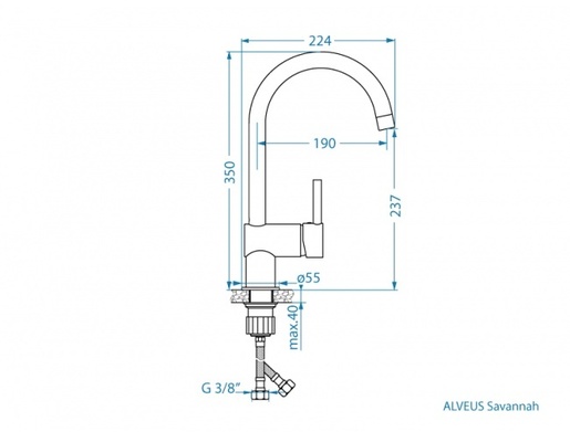 Alveus slavina Savannah, Carbon