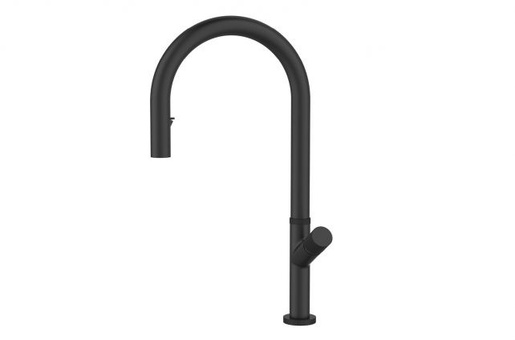 Alveus slavina Swan, Black Matt