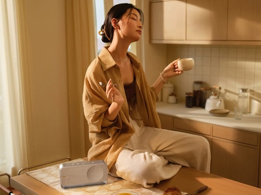 Bose SoundLink Home prijenosni BT zvučnik, srebrna