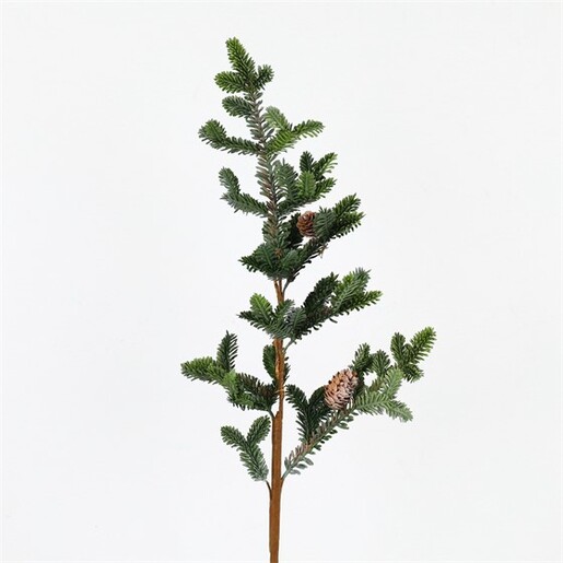 Grana bora sa šišarkama, 92cm