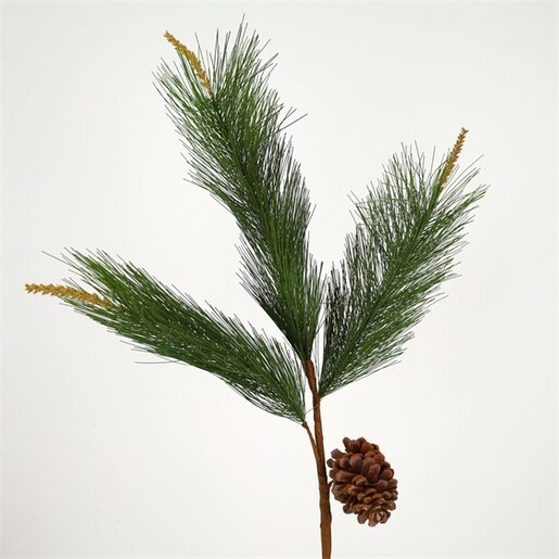 Grana bora sa češerom, 121cm