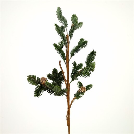 Grana bora s češerima, 63cm