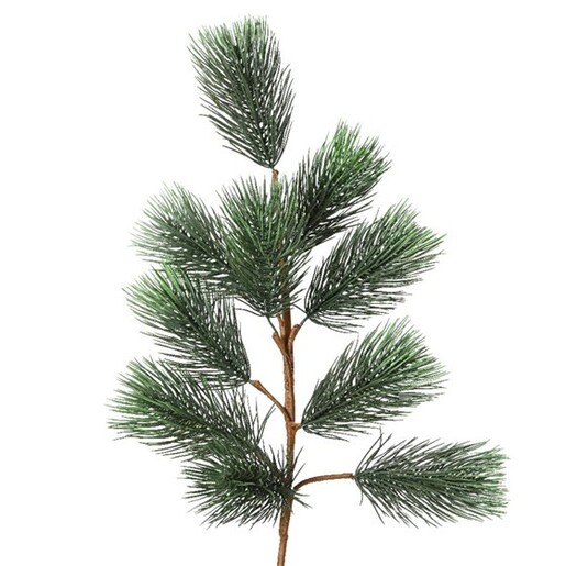 Grana bora, 80cm, zelena