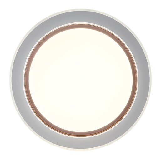 Stropna svjetiljka JANICE (Ø49 cm), RGBW LED, bijela