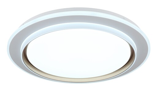 Stropna svjetiljka JANICE (Ø49 cm), RGBW LED, bijela