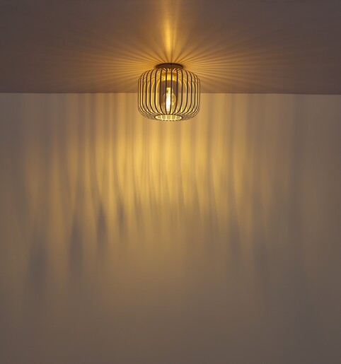 Stropna svjetiljka ALFRED, 1x E27, metalna