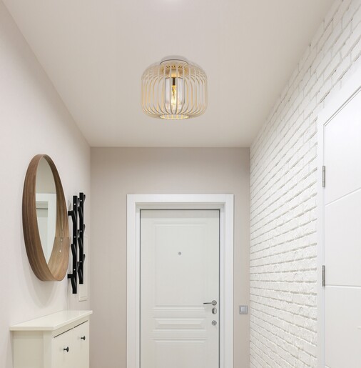 Stropna svjetiljka ALFRED, 1x E27, metalna