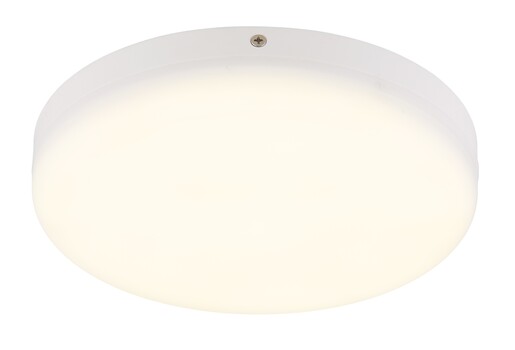 Stropna svjetiljka MATTHEW, LED, bijela