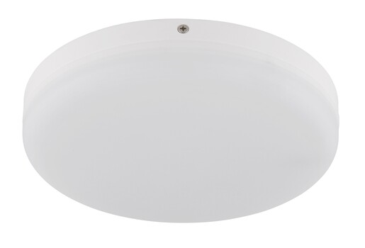 Stropna svjetiljka MATTHEW, LED, bijela