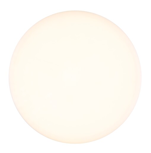 Stropna svjetiljka MATTHEW, LED, bijela