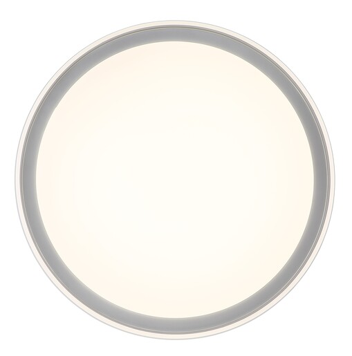 Stropna svjetiljka JANICE (Ø50 cm), RGBW LED, bijela