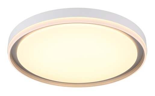 Stropna svjetiljka JANICE (Ø50 cm), RGBW LED, bijela