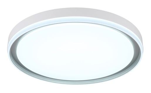 Stropna svjetiljka JANICE (Ø50 cm), RGBW LED, bijela