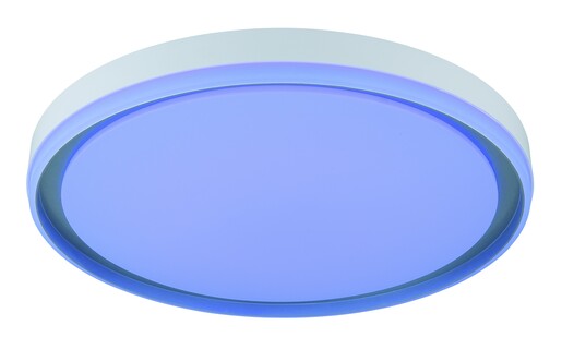Stropna svjetiljka JANICE (Ø50 cm), RGBW LED, bijela