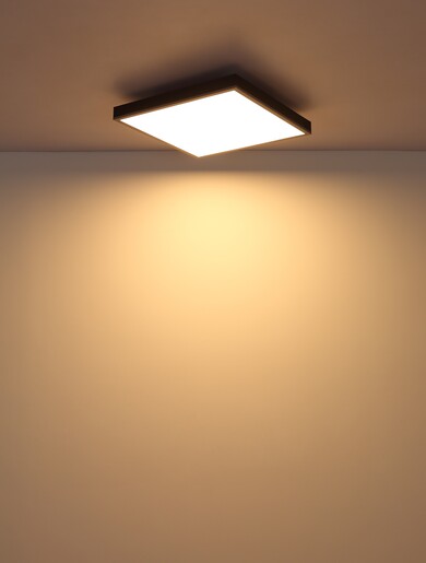 Stropna svjetiljka DORO (Ø45 cm), LED, srebrna