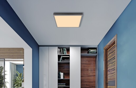 Stropna svjetiljka DORO (Ø45 cm), LED, srebrna