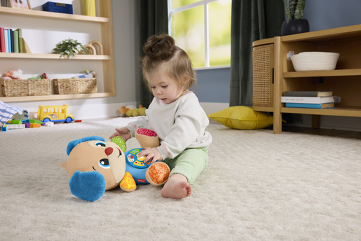 Psić Sveznalica, edukativna igra