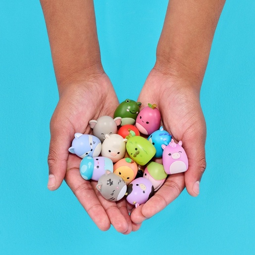 Squishmallows Squish-a-longs set mini figura, Florida, 14 kom