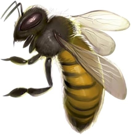 Cardline Animals, hrvatsko izdanje