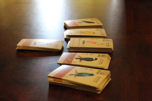 Wingspan 2nd Edition