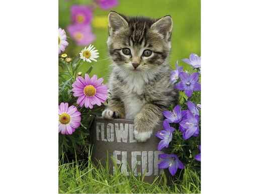 Ravensburger 100 kom puzzle Kitten amongst the Flowers