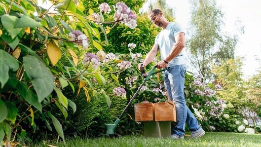 BOSCH aku šišač tratine EasyGrassCut 18V, 2.0Ah, 26cm