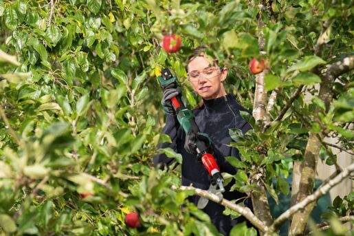 BOSCH aku škare za grane AdvancedPrune 18V, 2.0Ah, 45mm - SAMO ALAT