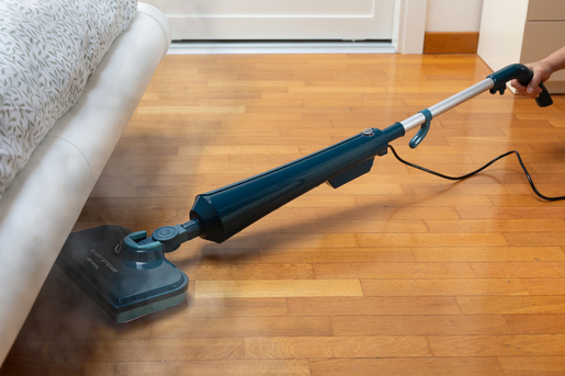 Ariete parni čistač Easy Steam