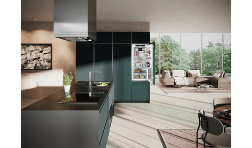 Liebherr hladnjak IRBbi 4170 Peak