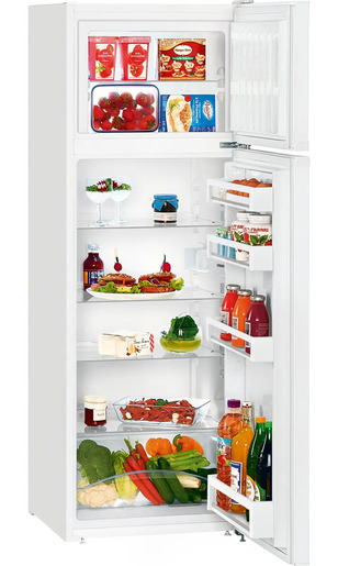 Liebherr hladnjak CTPe 251-26