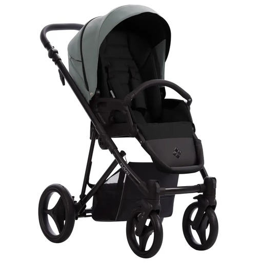 Dječja kolica Bebetto Flavio PRO 09/CZA 2u1