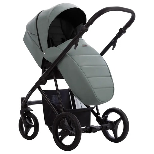 Dječja kolica Bebetto Flavio PRO 09/CZA 2u1