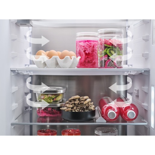 AEG hladnjak TC9VS181BC