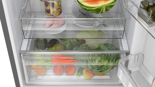 Bosch hladnjak KGN49OCAF