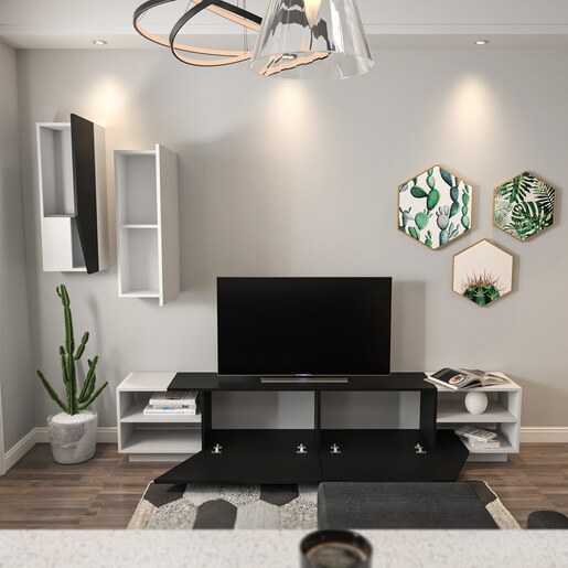 TV jedinica, Zebra - Black, White