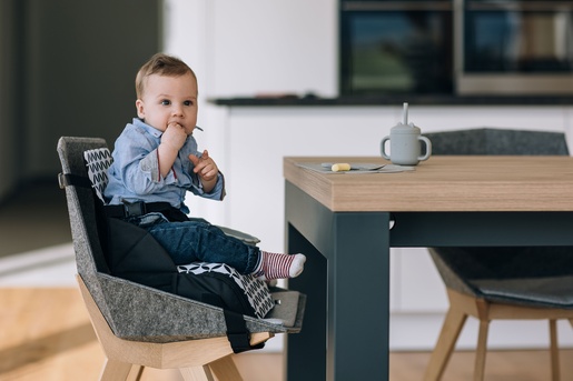 FreeON prijenosna stolica Fold & Go black