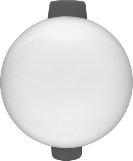 Brabantia NewIcon kanta s pedalom, 20 l, mat čelik
