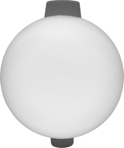 Brabantia NewIcon kanta s pedalom, 30 l, mat čelik