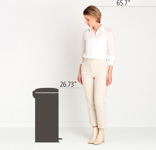 Brabantia NewIcon kanta s pedalom, 30 l, mat čelik