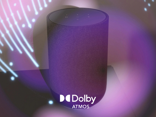 Denon HOME 200, prijenosni bluetooth zvučnik, sivi