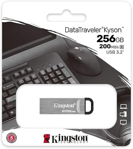 USB memorija Kingston 256GB DataTraveler Kyson (DTKN/256GB)