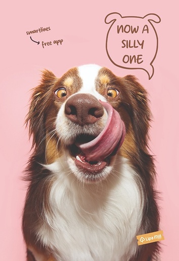 Set bilježnica Woof, A4 kvadratići, 42 lista, meki uvez, 10 KOM