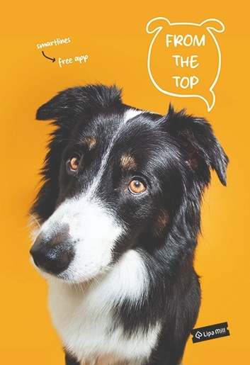 Set bilježnica Woof, A4 kvadratići, 42 lista, meki uvez, 10 KOM