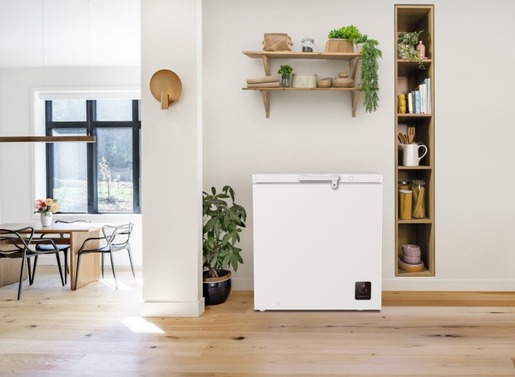 Gorenje zamrzivač FH20E6W5