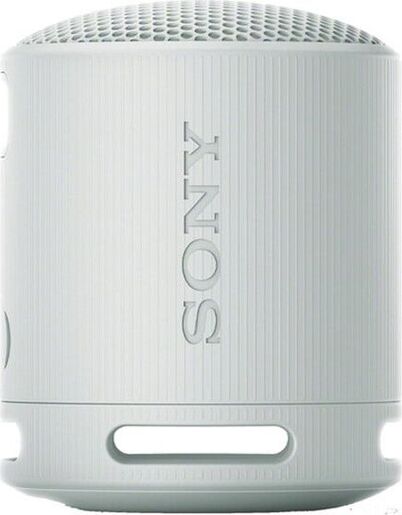 Sony SRS-XB100, bežični bluetooth zvučnik, sivi (SRSXB100H.CE7)