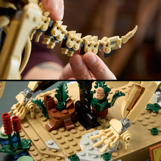 LEGO® Jurassic World Fosili dinosaura: Triceratops 77985