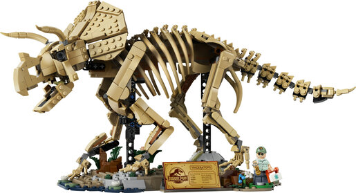 LEGO® Jurassic World Fosili dinosaura: Triceratops 77985