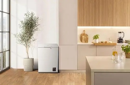 Gorenje zamrzivač FH15E6W5